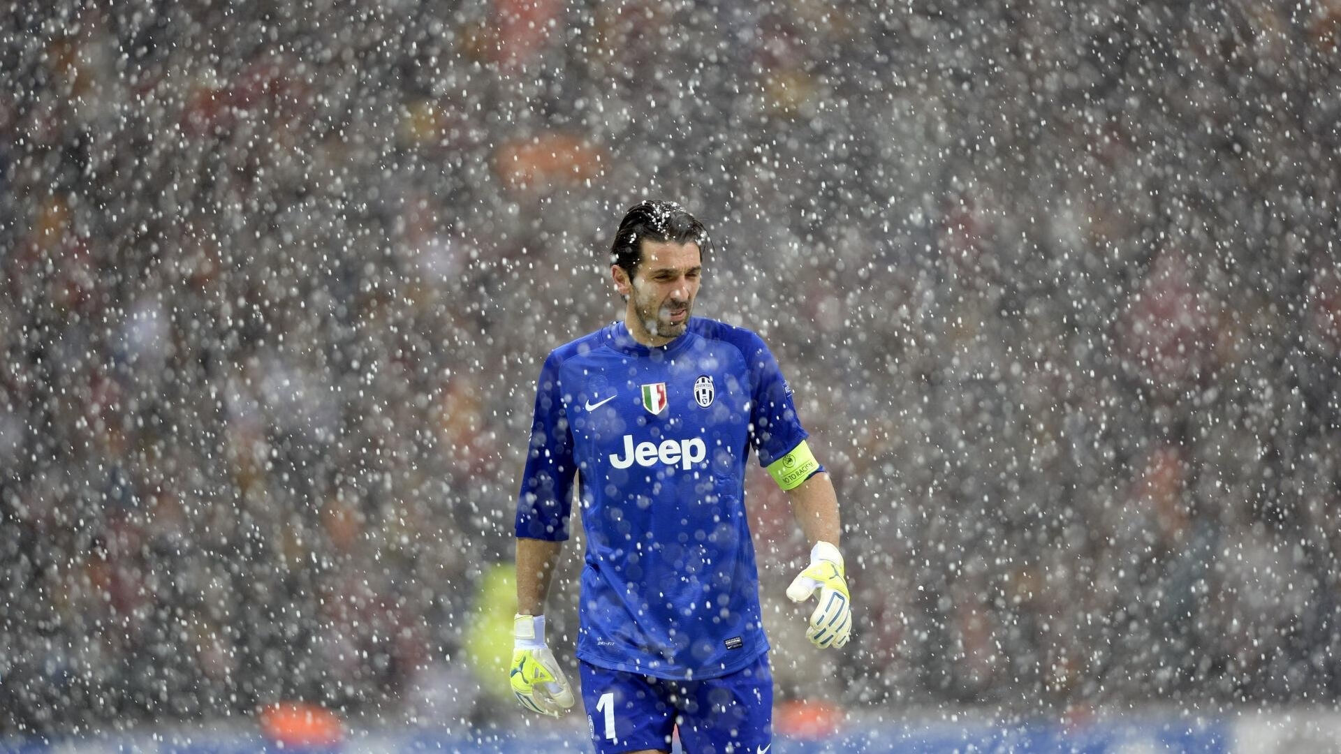 《粉丝互动：虚拟世界中的电竞粉丝节》，粉丝互动游戏有哪些